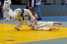 27.04.2025 Wachau JUDO Kids Cup